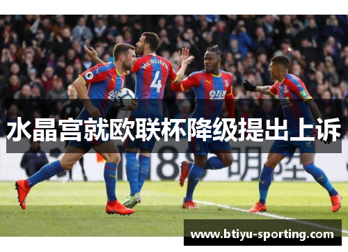 水晶宫就欧联杯降级提出上诉
